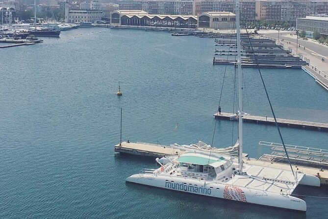1 Hour Sailing Excursion in Valencia - What to Expect Onboard: Comfort, Sound, and Real-World Sailing