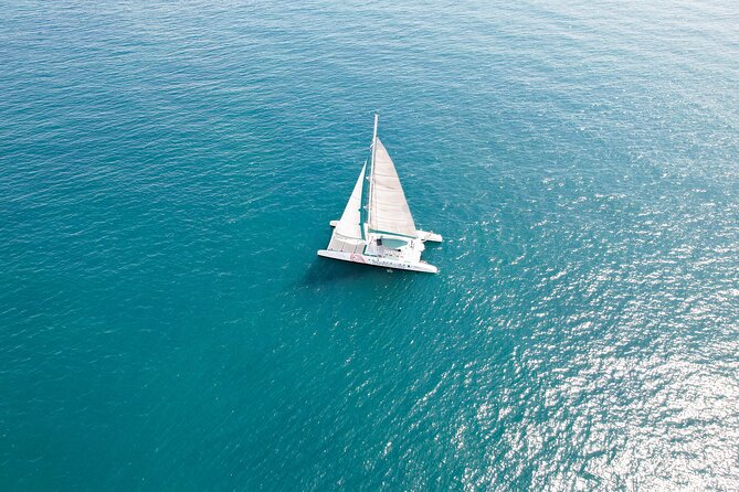 A day at Sea aboard Mundo Marino Catamaran in Valencia - La Marina de Valencia pass-by: ports, yachts, and an easy view