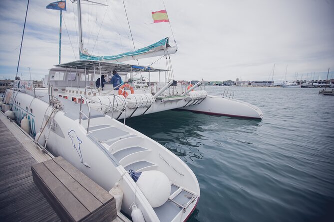 A day at Sea aboard Mundo Marino Catamaran in Valencia - Malvarrosa beach walk: the quick warm-up before you float