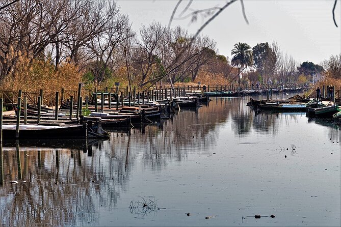 Albufera: Lake, Paella and Birdwatching - Getting from Valencia to the Albufera without the hassle