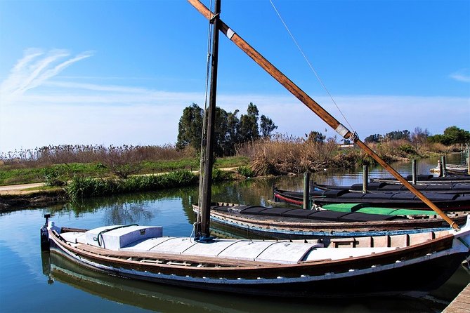 Albufera: Lake, Paella and Birdwatching - Timing, weather, and what to plan around