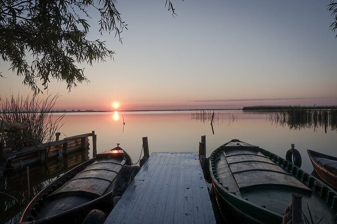Albufera Natural Park with Sunset Boat Tour from Valencia - Getting to the wetlands fast: pickup that keeps you from wasting time