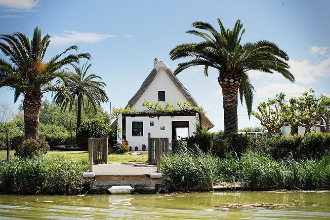 Albufera Natural Park with Sunset Boat Tour from Valencia - Price and value: what $46.96 buys you in real terms