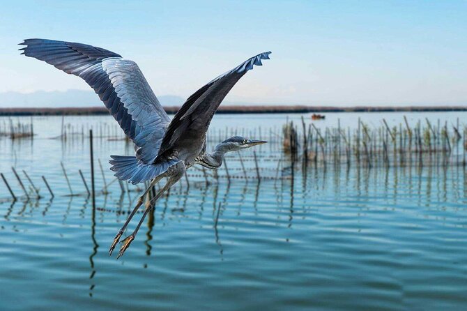 Albufera Natural Park with Sunset Boat Tour from Valencia - Stop 1: L’Albufera and the wetlands-rice-lake story