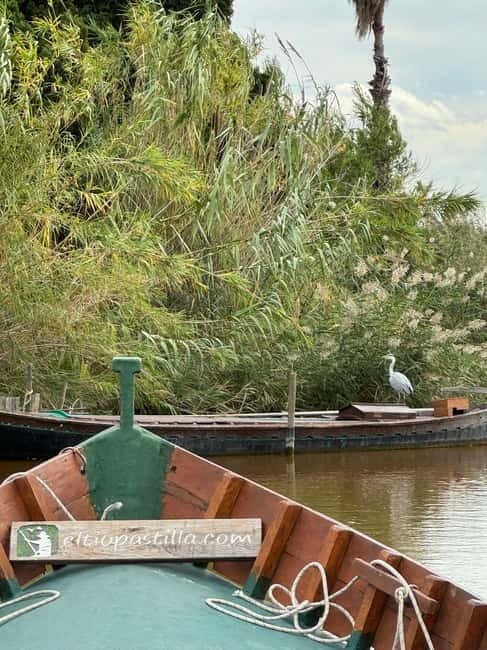 Albufera of Valencia: Guided boat ride around the Albufera - Key things I’d put on your must-know list
