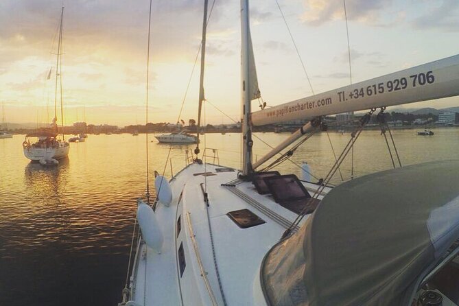 Boat trip Valencia - Where You Meet, What the Timing Really Means (12:00 pm Start)