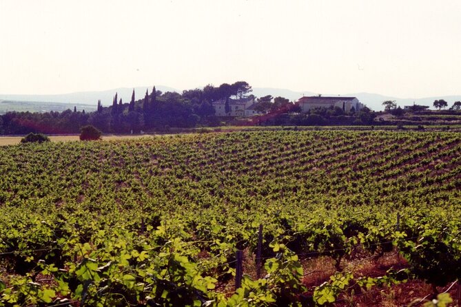 Cheese Factory Workshop with Wine Tasting in Requena, Valencia - The 8-cheese guided tasting with unlimited drinks