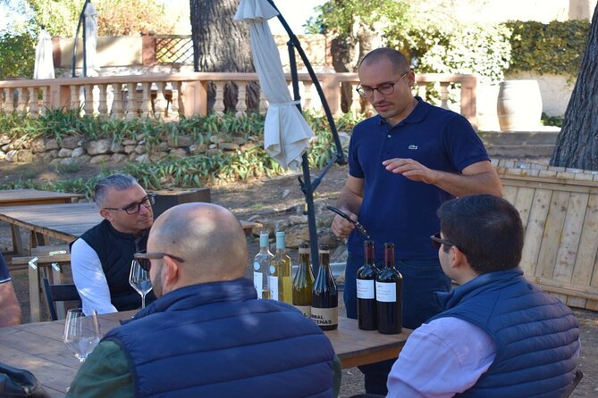 Cheese Factory Workshop with Wine Tasting in Requena, Valencia - After the caves: pairing local white wine with cheese