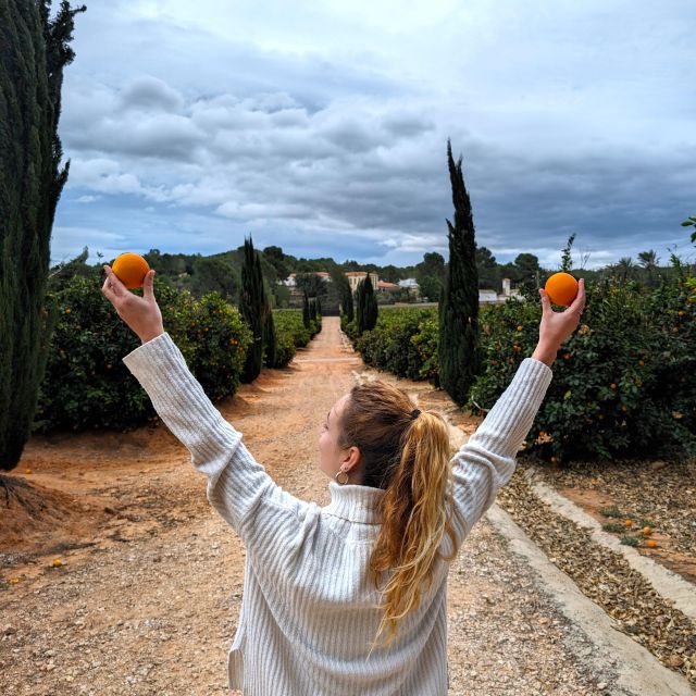 Citrus Treasures: Exploring Valencia's Orange Grove - Should you book Citrus Treasures: Exploring Valencia’s Orange Grove?