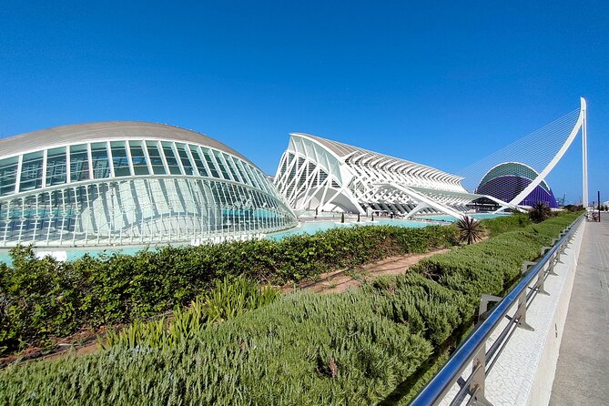 City of Arts and Sciences Bike Tour - Who This Tour Fits Best (And Who Might Skip It)