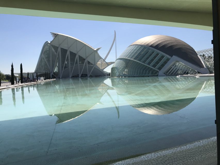 City of Arts & Sciences Tour on Bicycle, E-Bike or E-Step - Bike comfort, timing, and how to make the two hours work