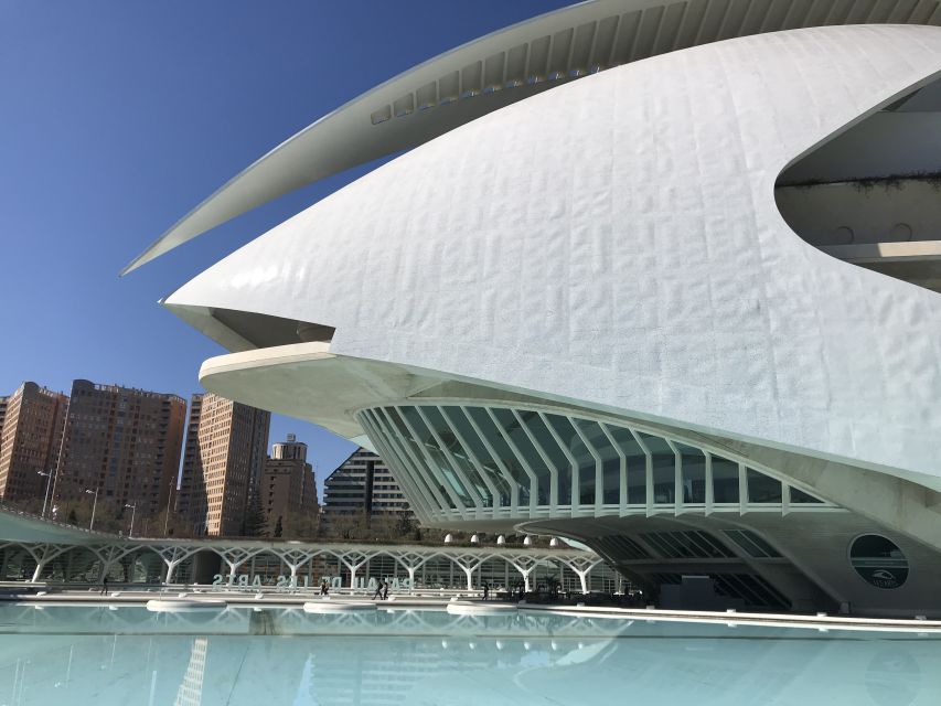 City of Arts & Sciences Tour on Bicycle, E-Bike or E-Step - Turia Park on a modern bike, where the miles feel easy