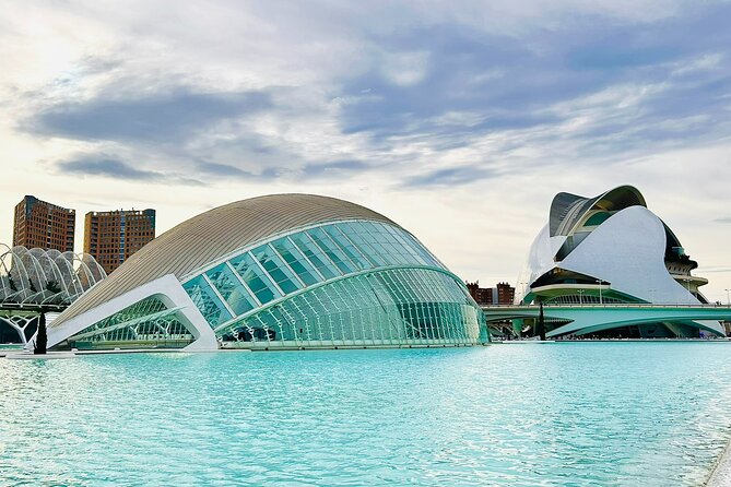 City of Arts & Sciences Tour with Rooftop Tapas & Wine - Key highlights you should care about