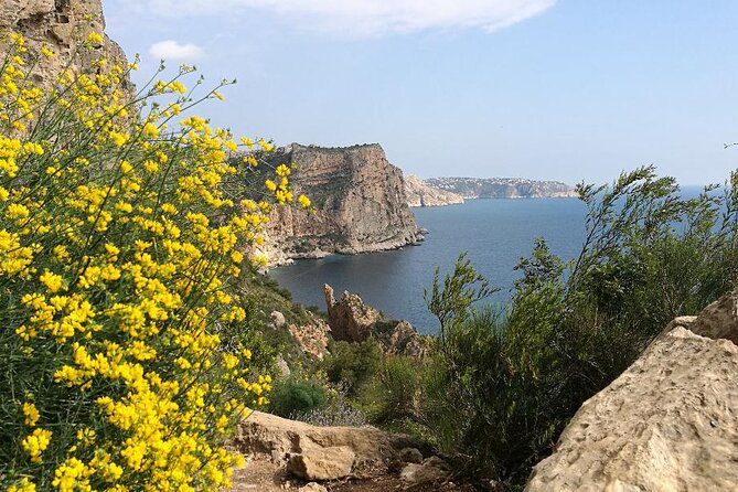 Coastal Cliffs & Beaches: Private Full Day Tour - Price and Value: Is $240.82 Per Person Worth It?