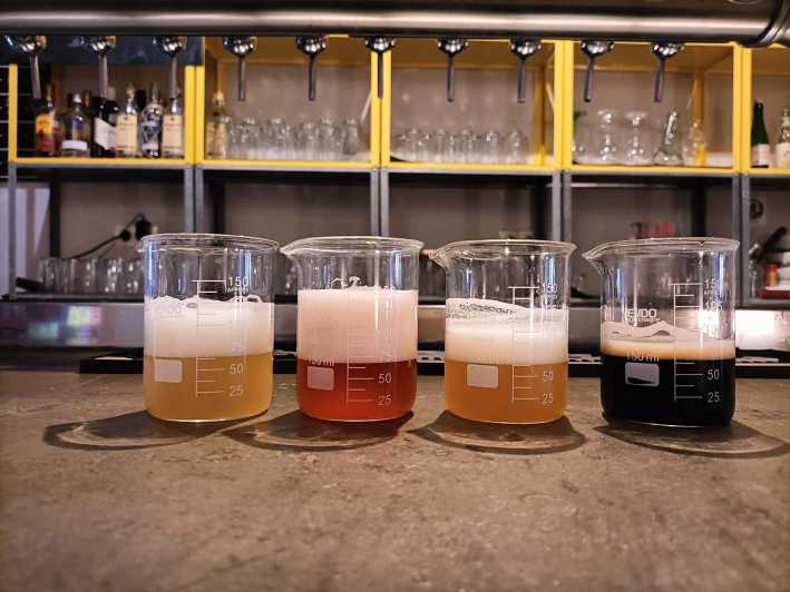 Craft Beer Tasting and tapas in Valencia - The “why” behind the beer lineup: sours, IPAs, and stouts