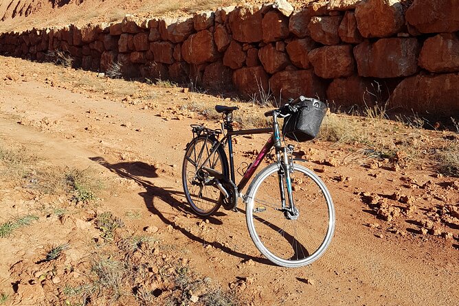 Daily Bike Rental Valencia - Riding in Valencia with local advice, a smart way to avoid wasted time
