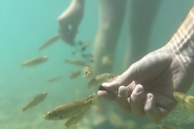 Discover Valencia's Magical Nature - Who this tour is perfect for, and who should pass