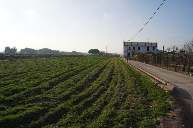 Discovering Valencia - private full day tour - Stop 3: A Relaxed 20 Minute Forest Walk Before Lunch