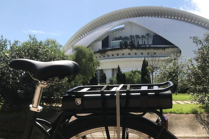 E-Bike Grand Valencia Private Tour - City of Arts and Sciences: Sci-Fi Architecture at Human Speed
