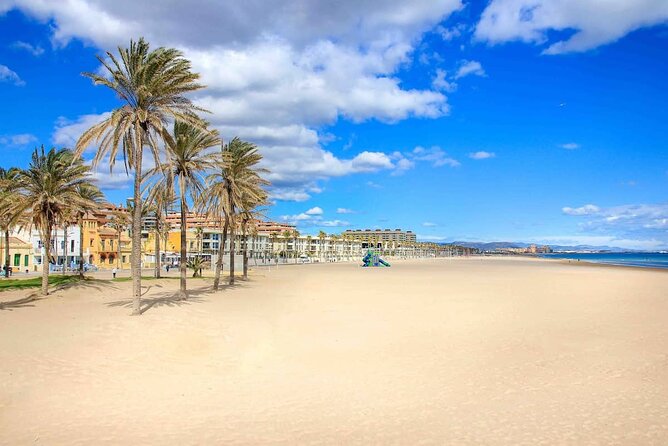 E-bike Tour: Beaches, & City of Arts and Sciences (From €30,00) - Ruzafa to La Marina: Harbor views from the start