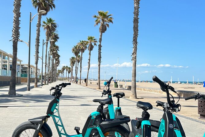 E-bike Tour: Beaches, & City of Arts and Sciences (From €30,00) - Price and value: what about $42 per person buys you