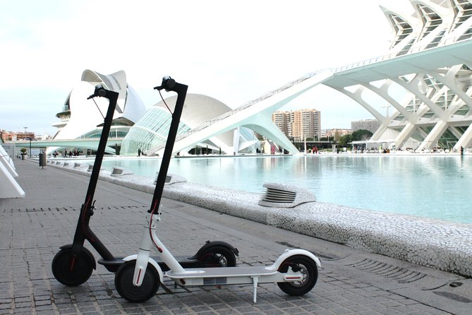 Electric Scooter Rental - Key highlights to know before you ride