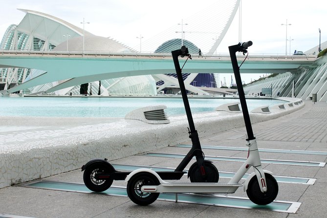 Electric Scooter Rental - Insurance and damage coverage: the one detail you must not gloss over