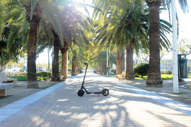 Electric Scooter Rental - Eco-mode and riding tips that keep it fun