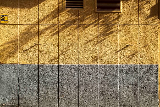 Excellent Private Photography Walking Tour & Workshop in Valencia - How the observation lesson improves your travel photos