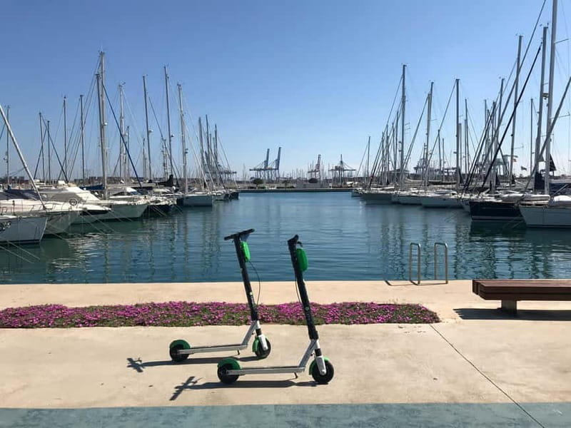 Explore Valencia’s Coast: Boat trip to Valencian Venice - Key takeaways for this Valencia boat ride to Port Saplaya