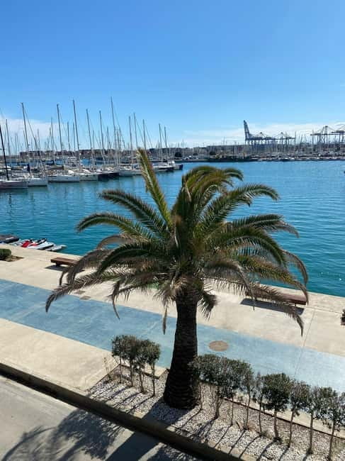 Explore Valencia’s Coast: Boat trip to Valencian Venice - Saplaya Beach and the Alboraya stretch: what you will actually see