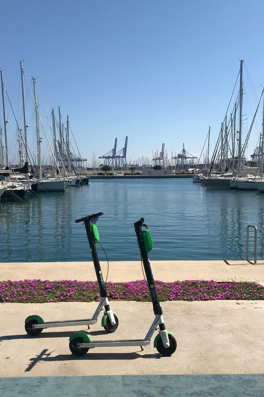 Explore Valencia’s Coast: Boat trip to Valencian Venice - Logistics reality check: the meeting point can make or break the day