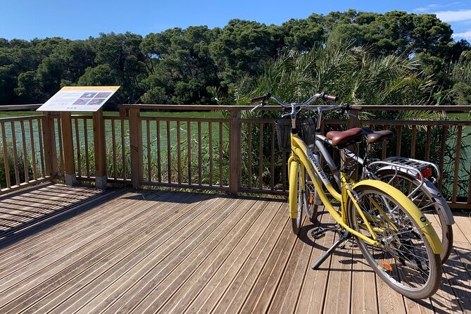 From the Old Town to the City of Arts – Small Group Bike Tour - Pacing, comfort, and what to bring for a smooth ride