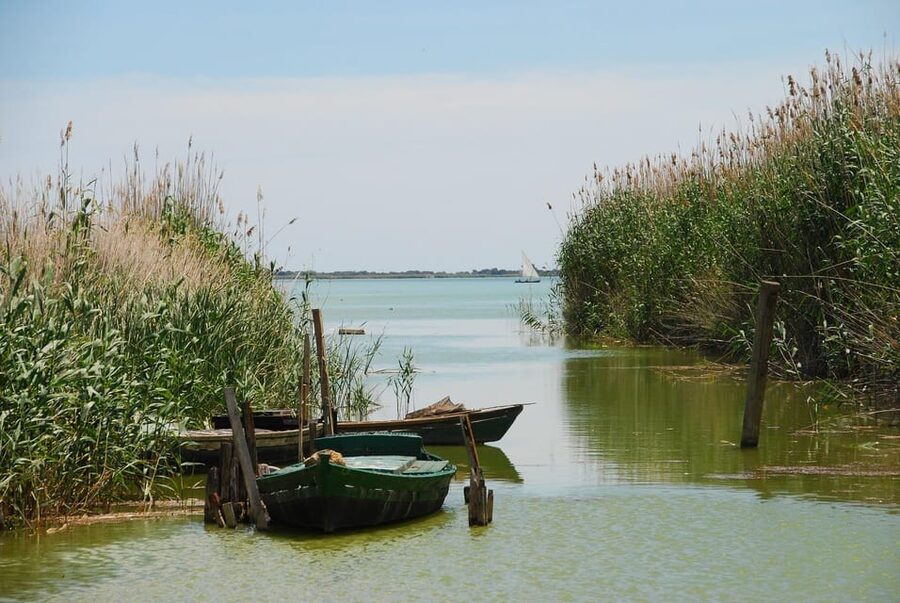 From Valencia: Albufera Boat Ride, Sunset & Paella Included - The boat ride on Albufera: birds first, then the views
