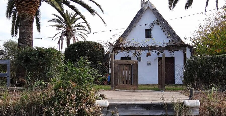 From Valencia: Albufera Boat Ride, Sunset & Paella Included - Lunch or dinner with paella: what you actually get
