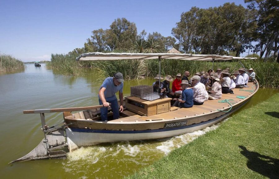 From Valencia: Albufera Boat Ride, Sunset & Paella Included - Photos and videos as part of the deal