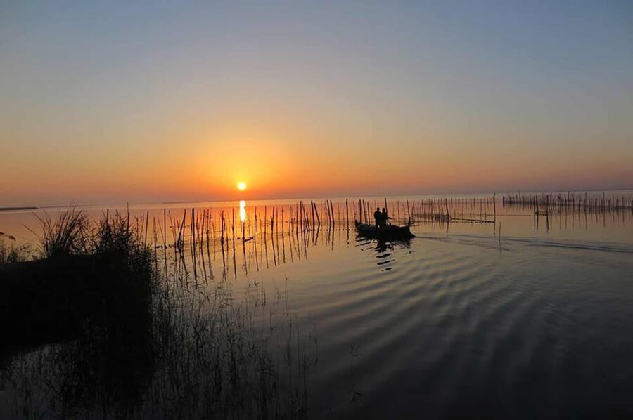 From Valencia: Albufera Boat Ride, Sunset & Paella Included - Getting started at El Saler, then settling into the ride