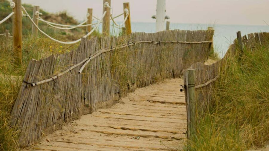 From Valencia: Albufera Day Trip with Boat Tour and Transfer - Palmar Fishing Village: A Tiny Community in the Middle of the Water