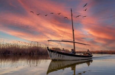 Albufera Day Trip with Boat Tour and Transfer