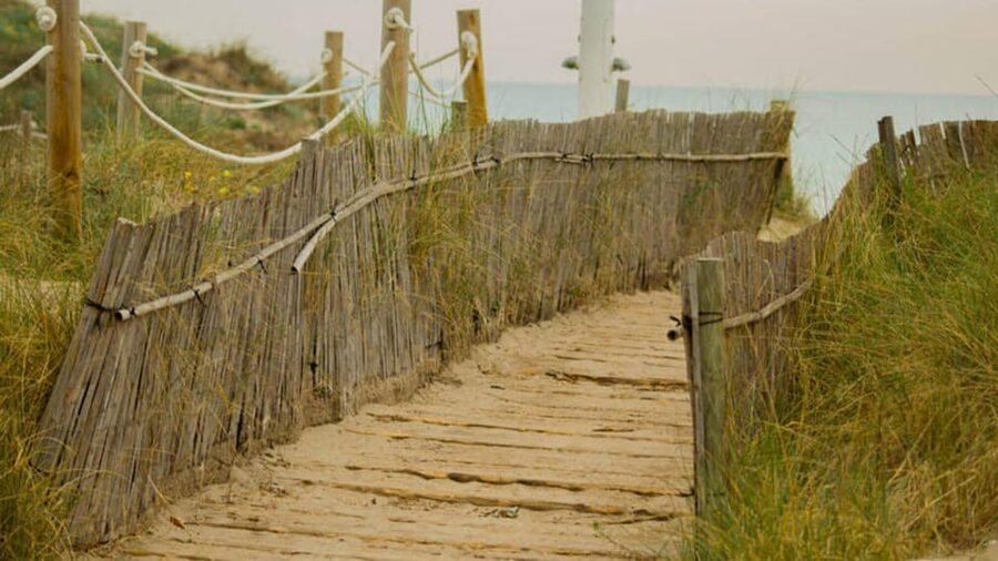 From Valencia: Albufera Day Trip with Boat Tour and Transfer - Comfort, Rules, and Small Real-World Details That Matter