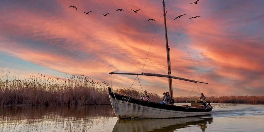 From Valencia: Albufera Natural Park with Sunset Boat Tour - The 50-minute guided stroll around the lake