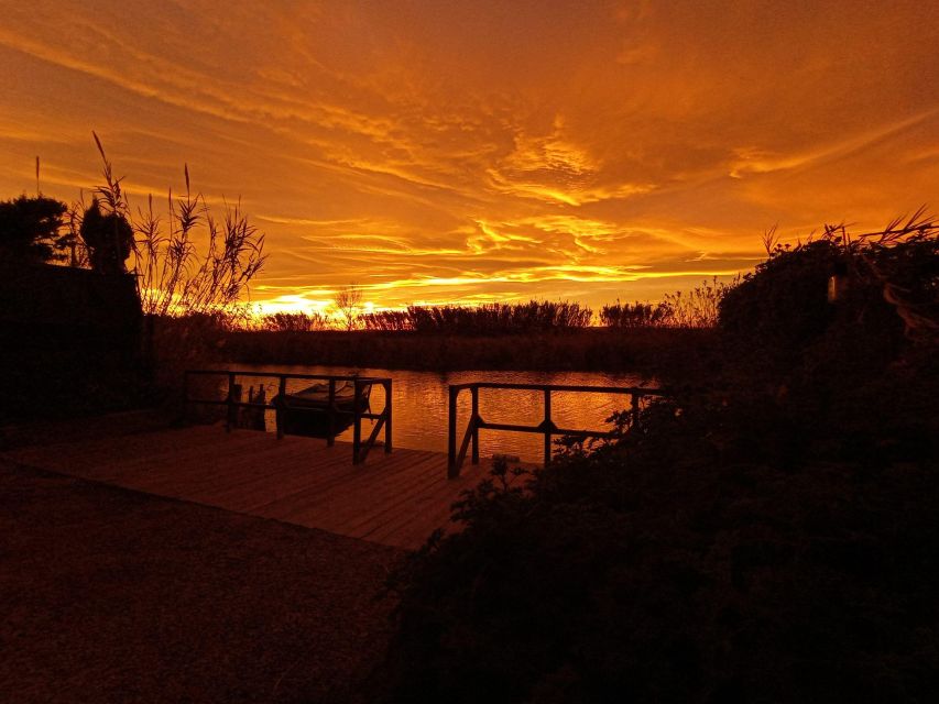 From Valencia: Albufera Natural Park with Sunset Boat Tour - The sunset boat ride across Albufera waters