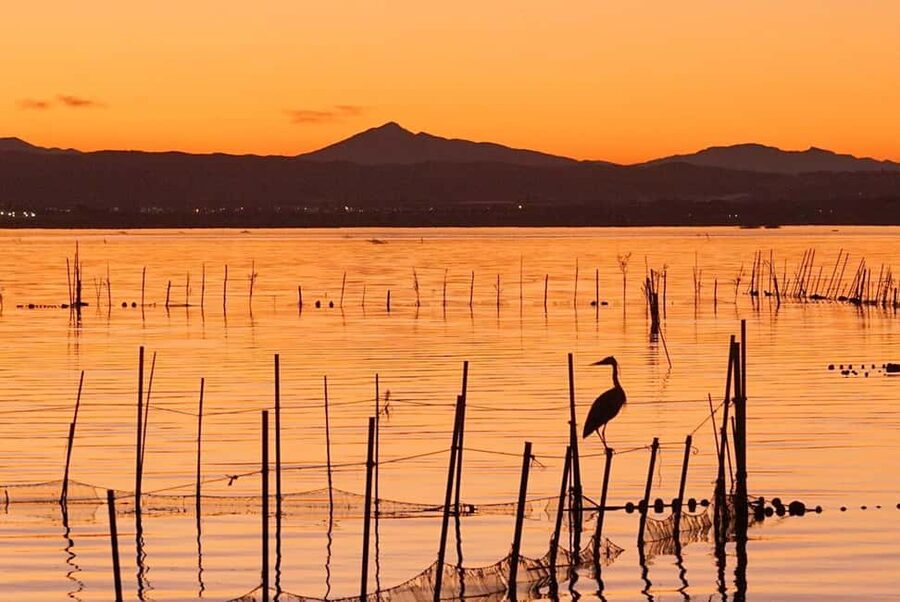 From Valencia: Albufera Natural Park with Sunset Boat Tour - How the pacing and timing keeps the day smooth