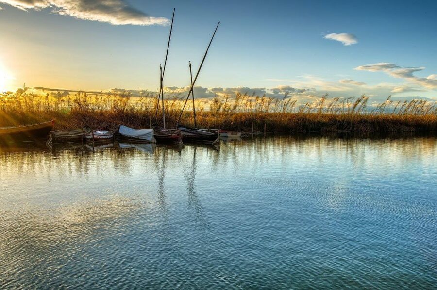 From Valencia: Albufera Natural Park with Sunset Boat Tour - Price and value: is $40 actually fair?
