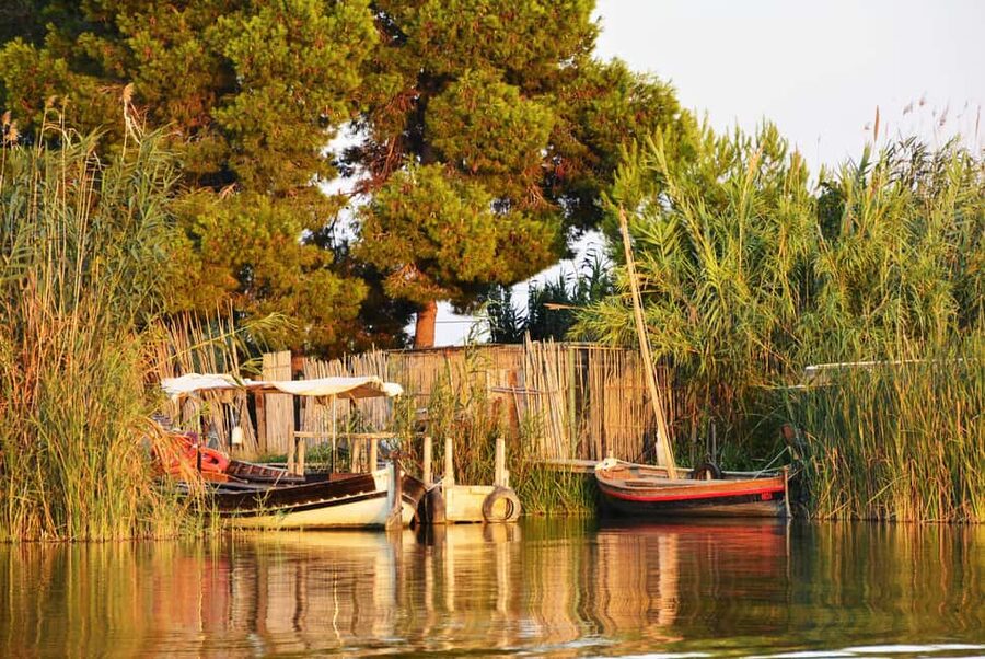From Valencia: Albufera Natural Park with Sunset Boat Tour - Getting there from Valencia, and the pickup details that matter