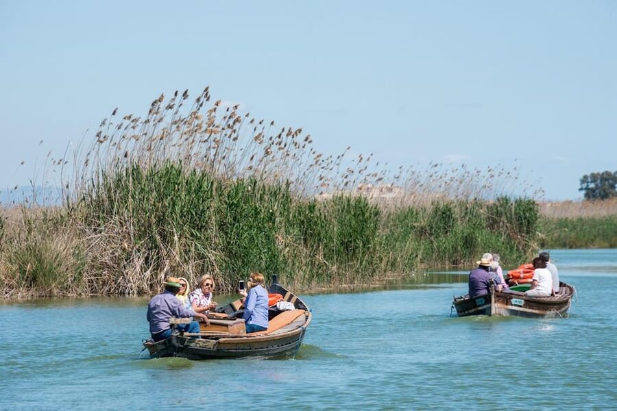 From Valencia: Albufera Private Tour, Paella & Boat Ride - Private car to Albufera: why this day trip works