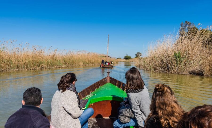 From Valencia: Albufera Private Tour, Paella & Boat Ride - Lunch by Albufera Lake: paella, local wine, and the view you eat with