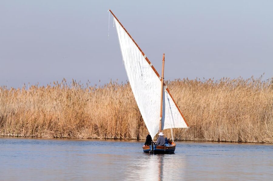 From Valencia: Albufera Private Tour, Paella & Boat Ride - Flamingos, timing, and season: how to set expectations the smart way