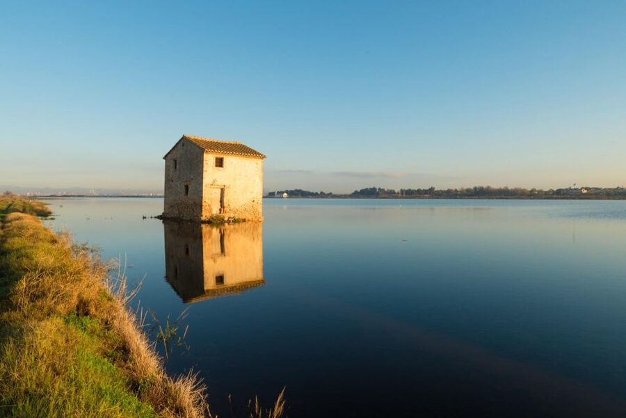 From Valencia: Albufera Private Tour, Paella & Boat Ride - Price and value: what you are paying for (and what you get back)