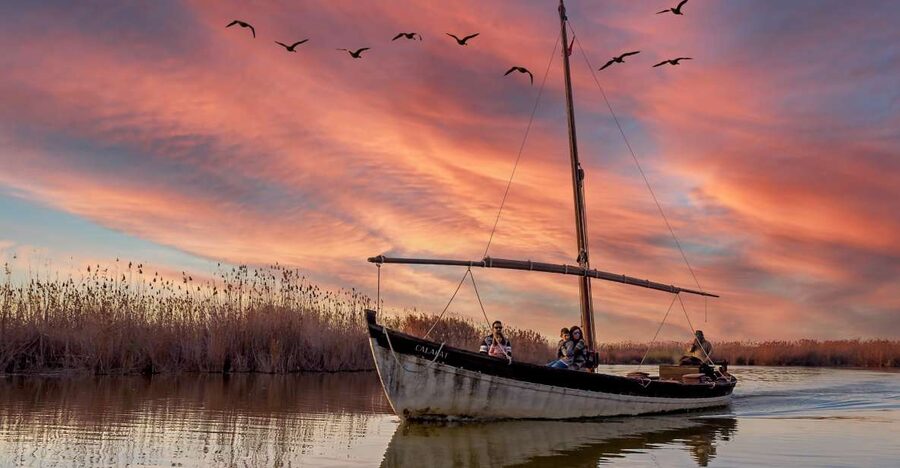 From Valencia: Cullera Old Town and Albufera Natural Park - Albufera Natural Park at the End, Flora and Fauna Focus